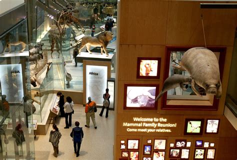 museum of natural history hours